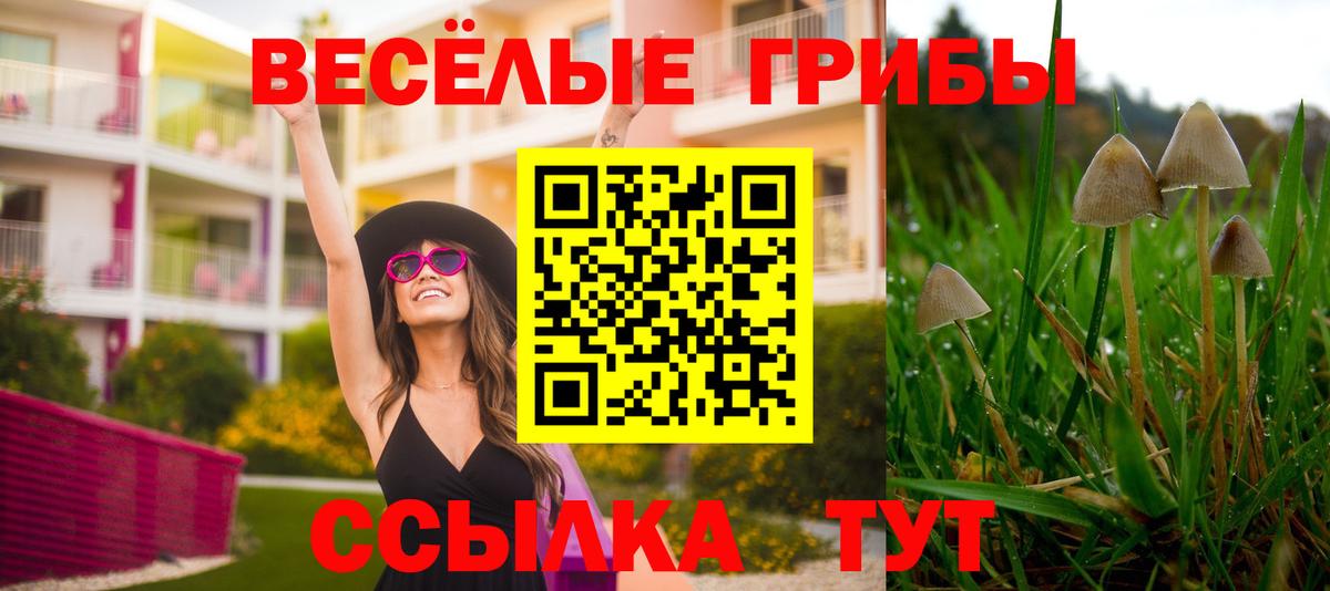 Галлюциногенные грибы прущие грибы Сухой Лог